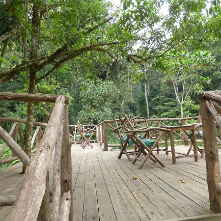 Nshongi Camp Hotel Rubuguli Luaran gambar