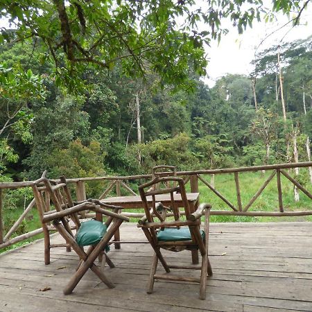Nshongi Camp Hotel Rubuguli Luaran gambar
