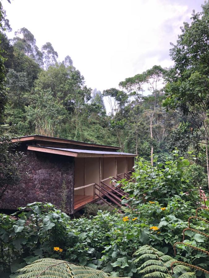 Nshongi Camp Hotel Rubuguli Luaran gambar