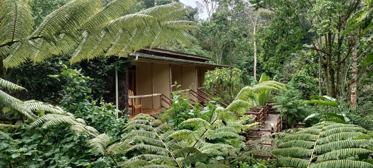 Nshongi Camp Hotel Rubuguli Luaran gambar